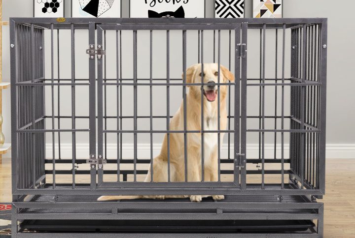 HOW LONG IS TOO LONG TO CRATE YOUR DOG?