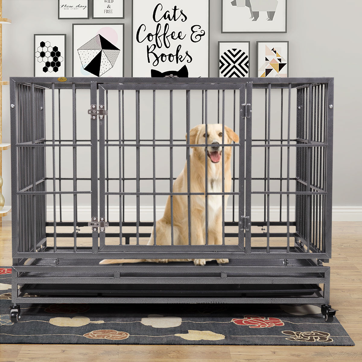 dog crate