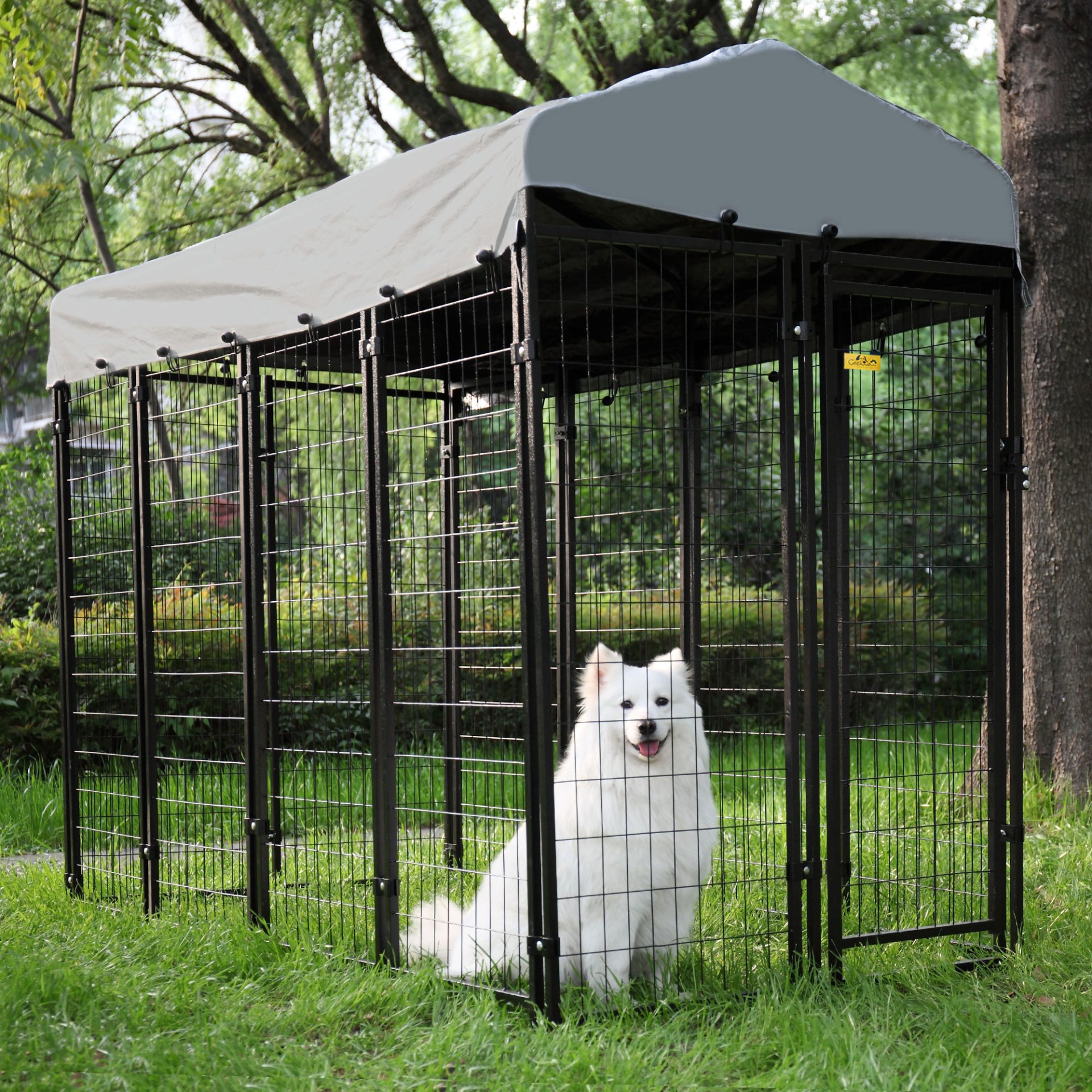 dog crate