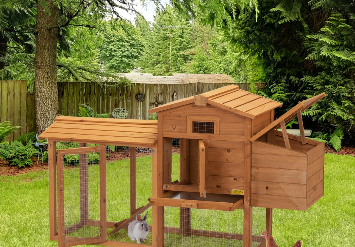 chicken coop