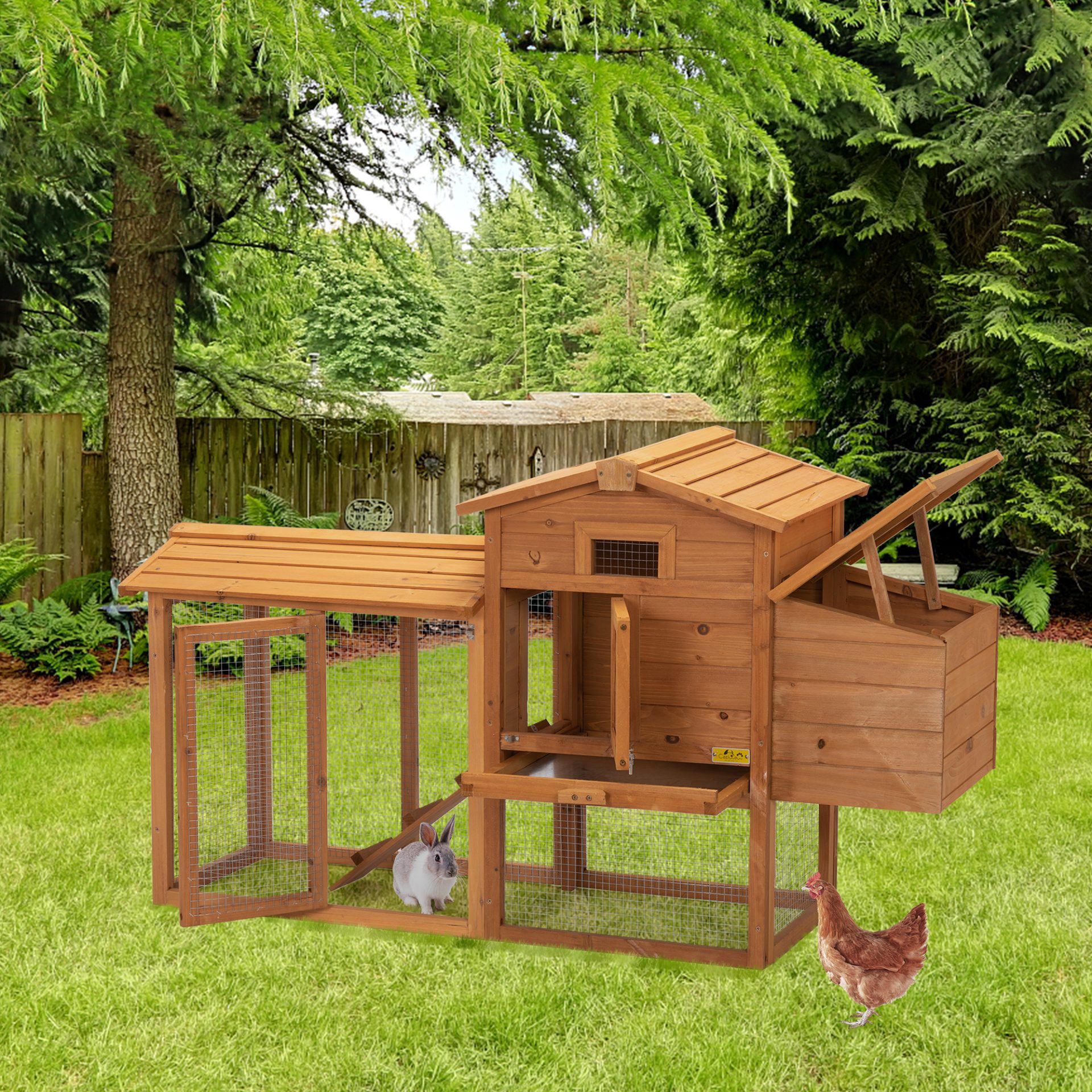 chicken coop