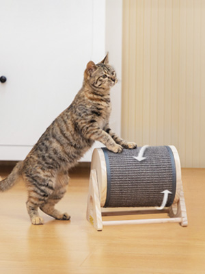 Coziwow Cat Scratcher Toy Cat Exercise Wheel Roller W/ Sisal Scratch Pad for Indoor Cats 0f5b62c0 23ec 4d22 ac92 b2d05df538cb. CR00300400 PT0 SX300 V1