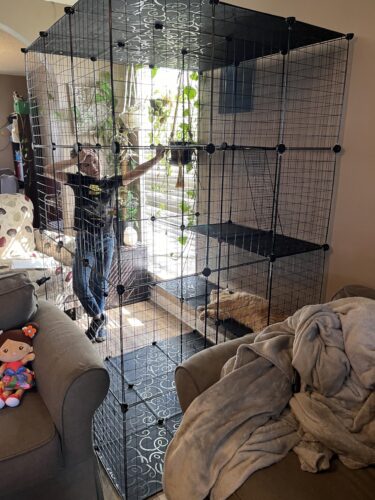 72"H Large Indoor Cat Enclosures, Indoor DIY Cat Cage Iron Mesh Crate with 3 Platforms, for 1-2 Cats, Black photo review