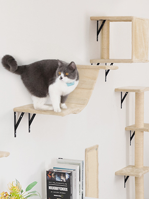 Coziwow 5 Pcs Wood Wall-Mounted Cat Tree Climber Set with Cat Perches, Ladder, Cat Condo House, and Scratching Board eba713f1 27fc 4799 b363 4732dde7d7bb. CR00300400 PT0 SX300 V1