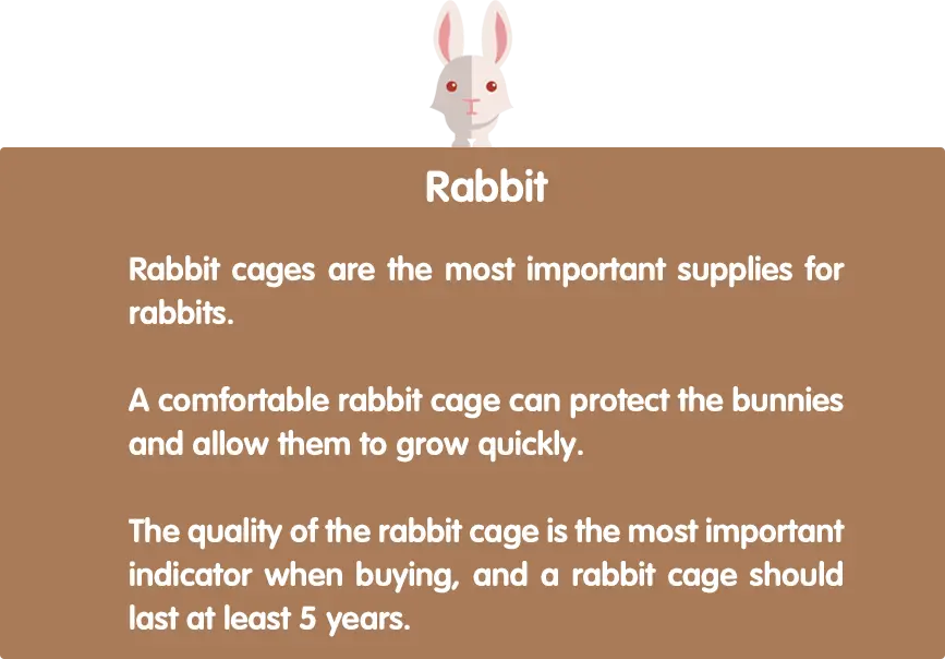 h_robbit