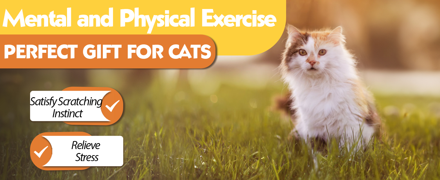 Sisal Cat Scratcher Toy| Cat Exercise Wheel Roller for Indoor Cats 1 拷贝 2 1