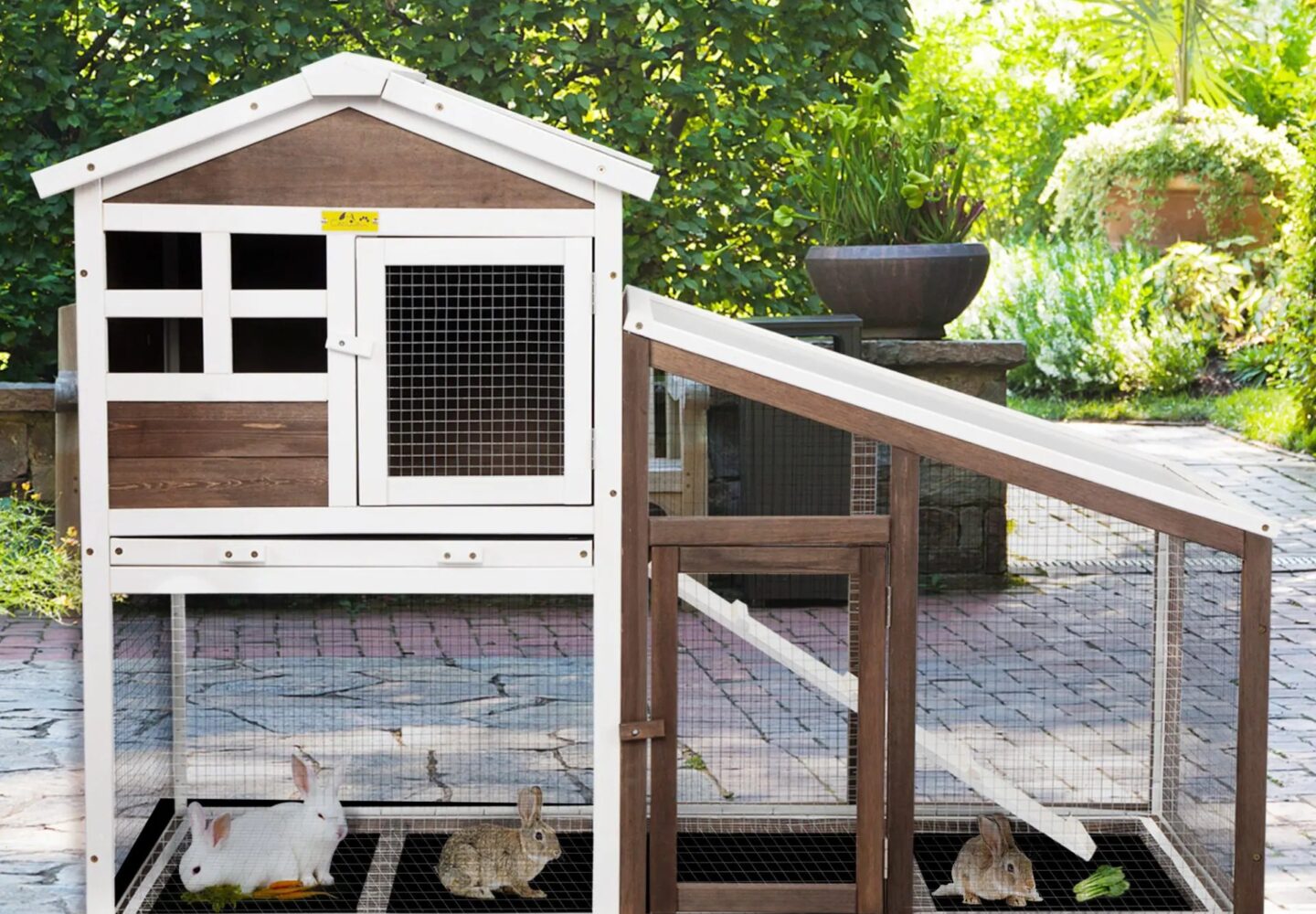 rabbit hutch