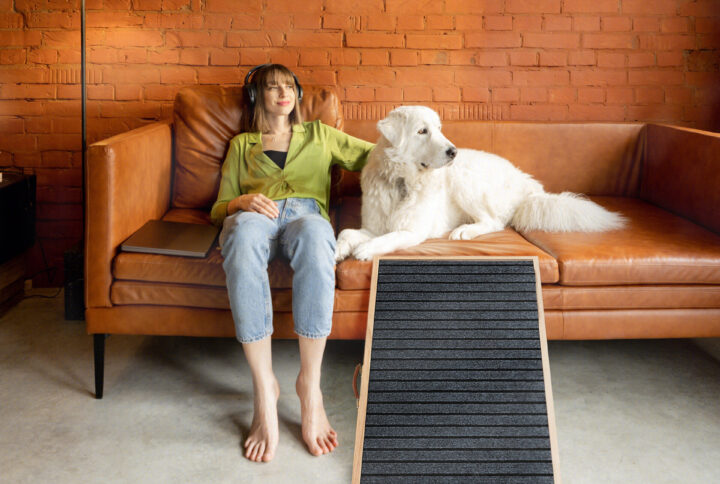 Does Your Dog Need Dog Stairs or a Ramp?