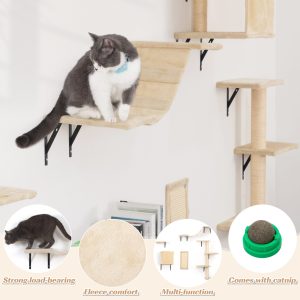 cat climber