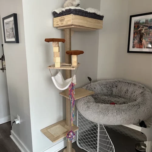 69"H 4-Tier Wooden Wall Mounted Cat Tree Climber with Toy Mouse, Burlywood photo review