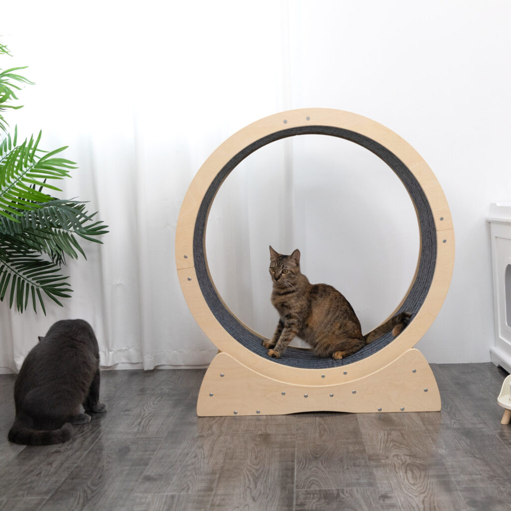 Coziwow 31.5"L Sturdy Secure Wood Cat Exercise Wheel Pet Treadmill with Silent Pulleys and Velcro Carpet, for All Sized Cats, Natural Wood Color CW12S0498 cj2