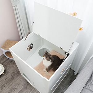 Coziwow Modern 2-Tier Multifunctional Cat Litter Box Enclosure with 2 Paw-Shaped Cut-Outs, White