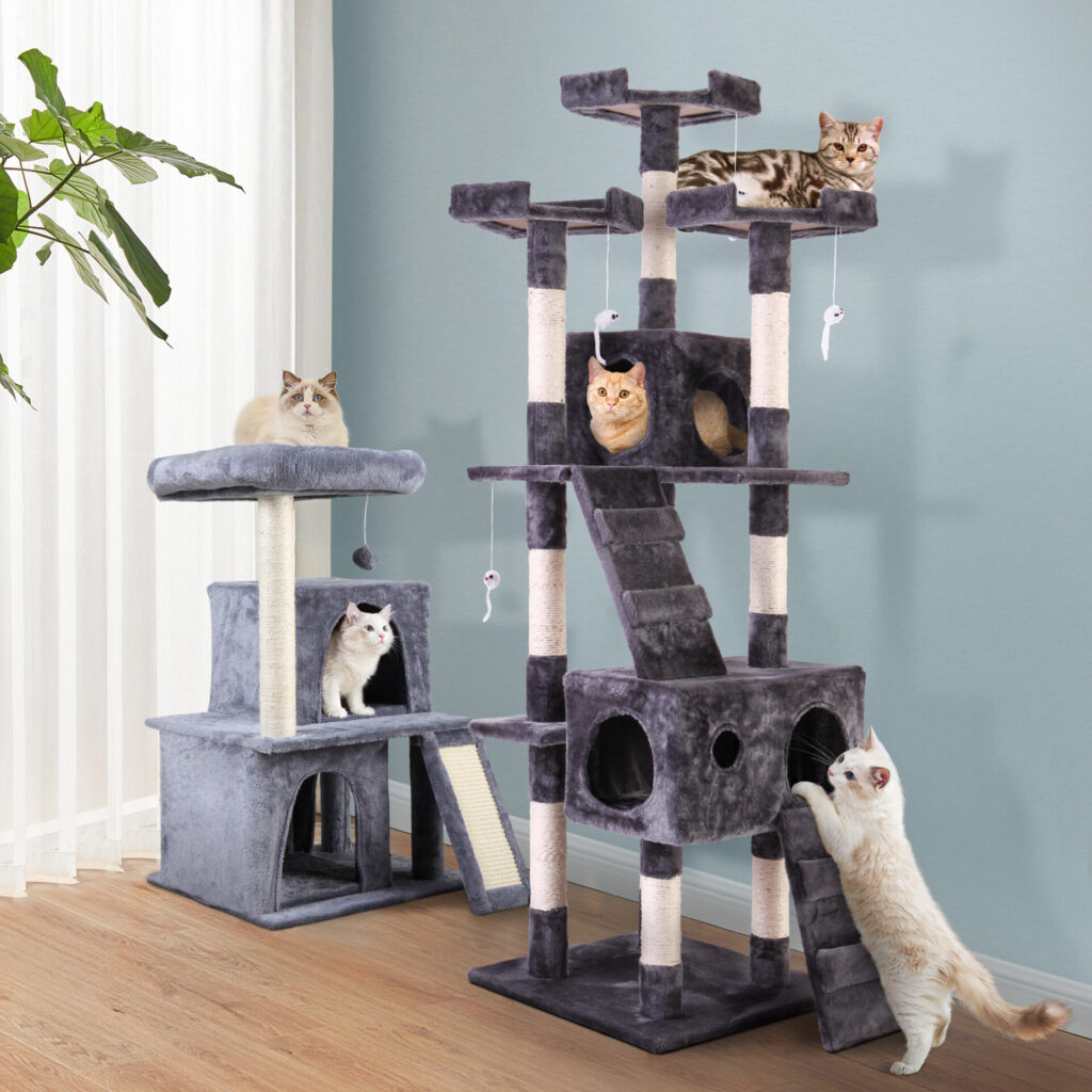 Make Your Pet's Black Friday Memorable! CW12W0052CW12B0325ZT Skylar2000x2000 Cat Blogs