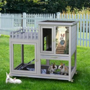 coziwow outdoor rabbit hutch with wheels
