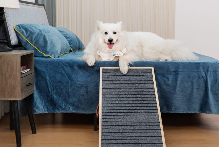 <strong>Training Your Dog To Use The Dogs-Up Ramp</strong>