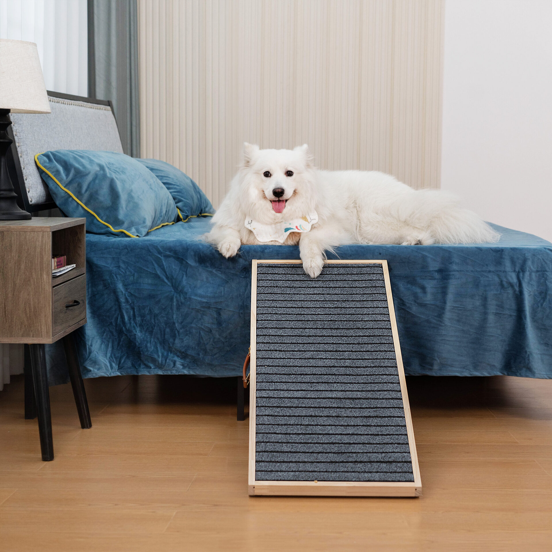 dog ramp