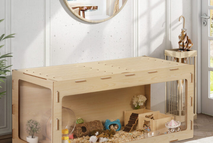 9 Friendly Pet Hamster Care Tips for Beginners
