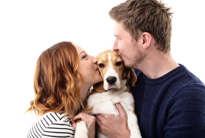 8 Ideals On How to Celebrate Love Your Pet Day