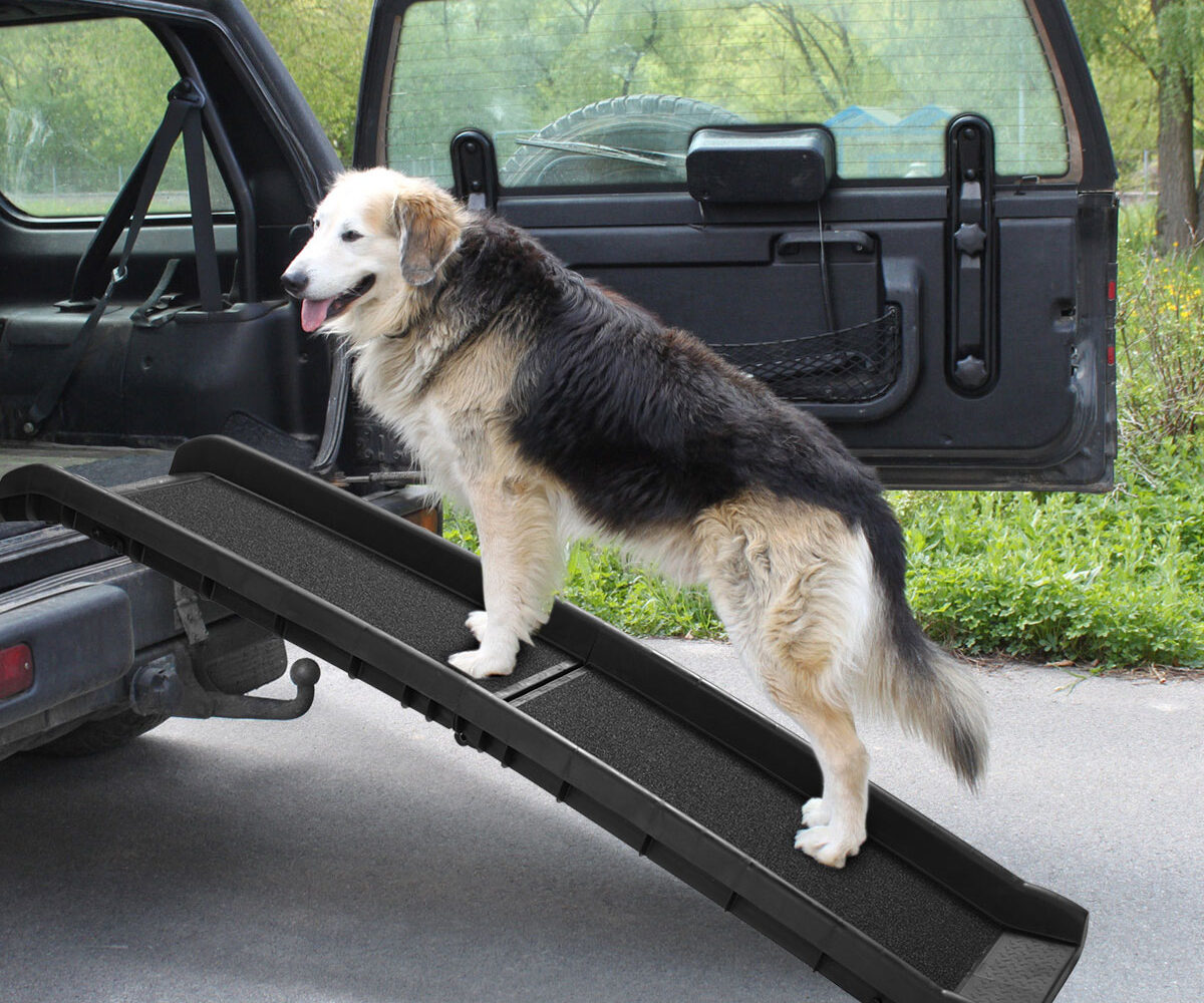 dog ramp for car