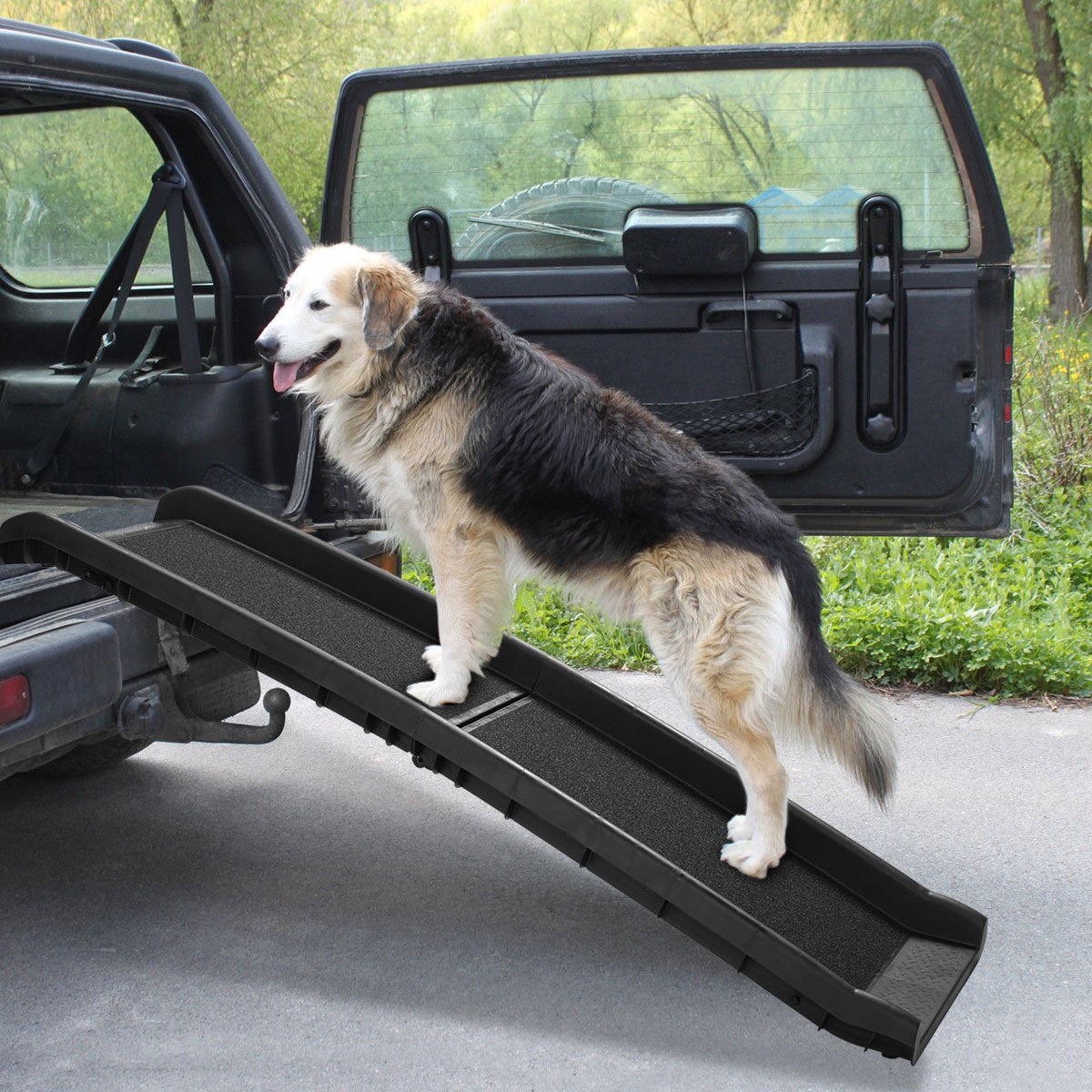 dog ramp for car