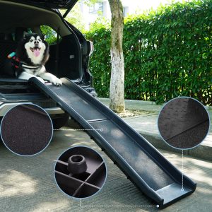 dog ramp for cars
