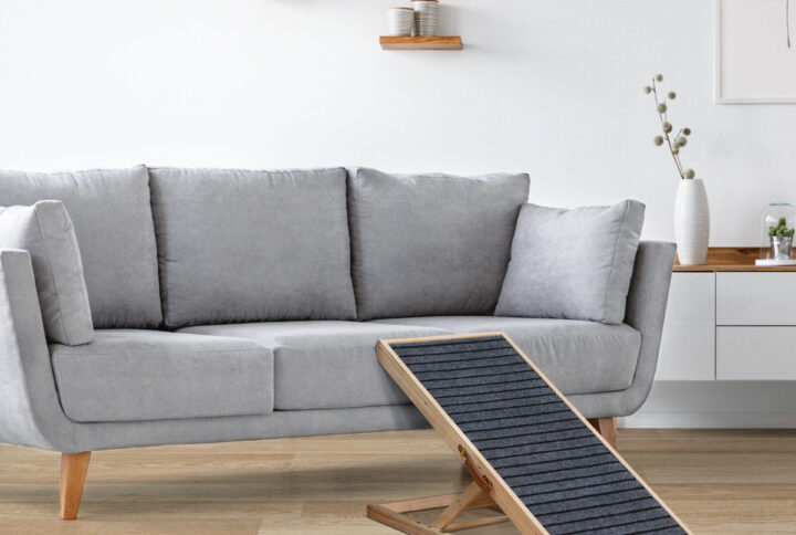 Using a Couch or Bed Ramp: How to Train Your Older Dog