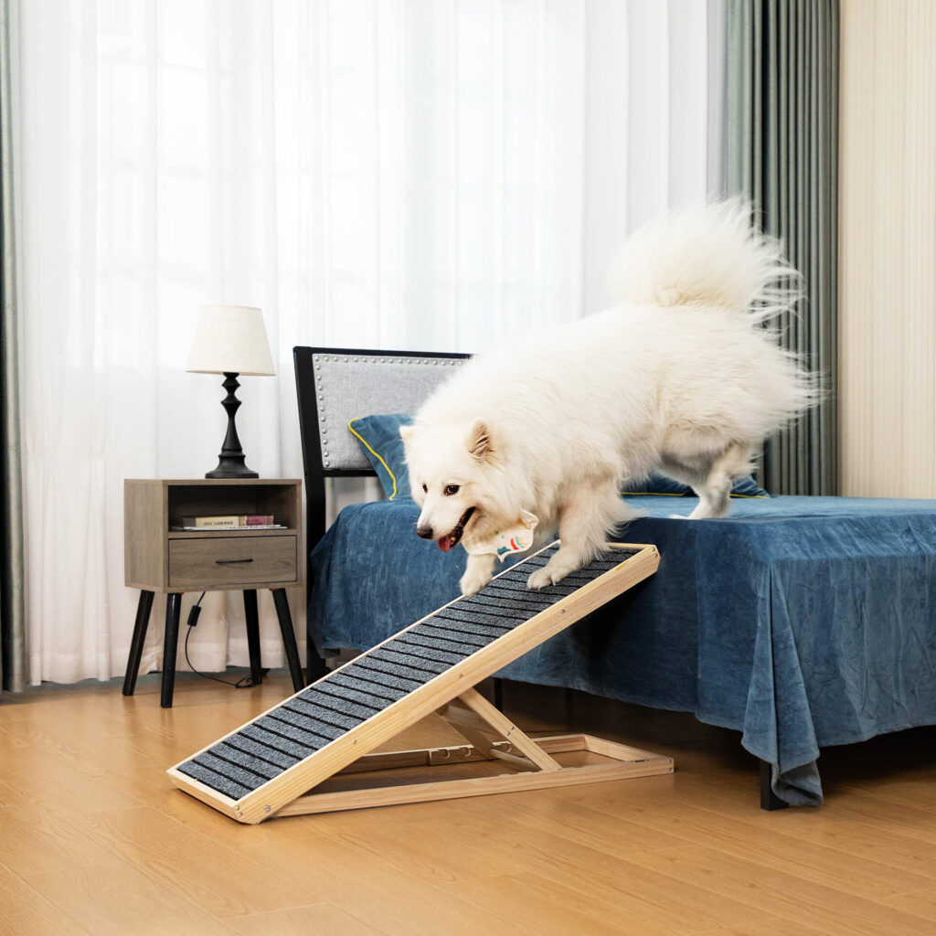 dog ramp