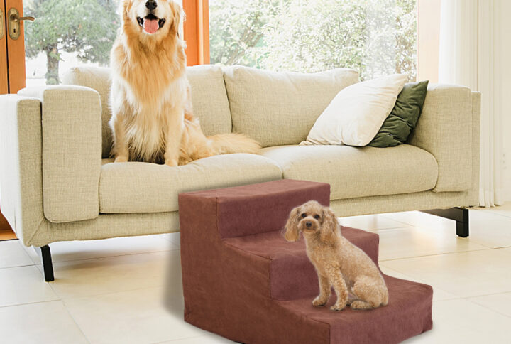 Pick The Best Dog Stairs For Your Pet