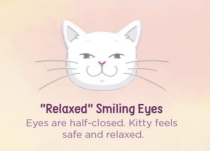 <strong>CAT EYE MEANING: READING YOUR CAT'S EYES</strong> 1 cat Cat trees