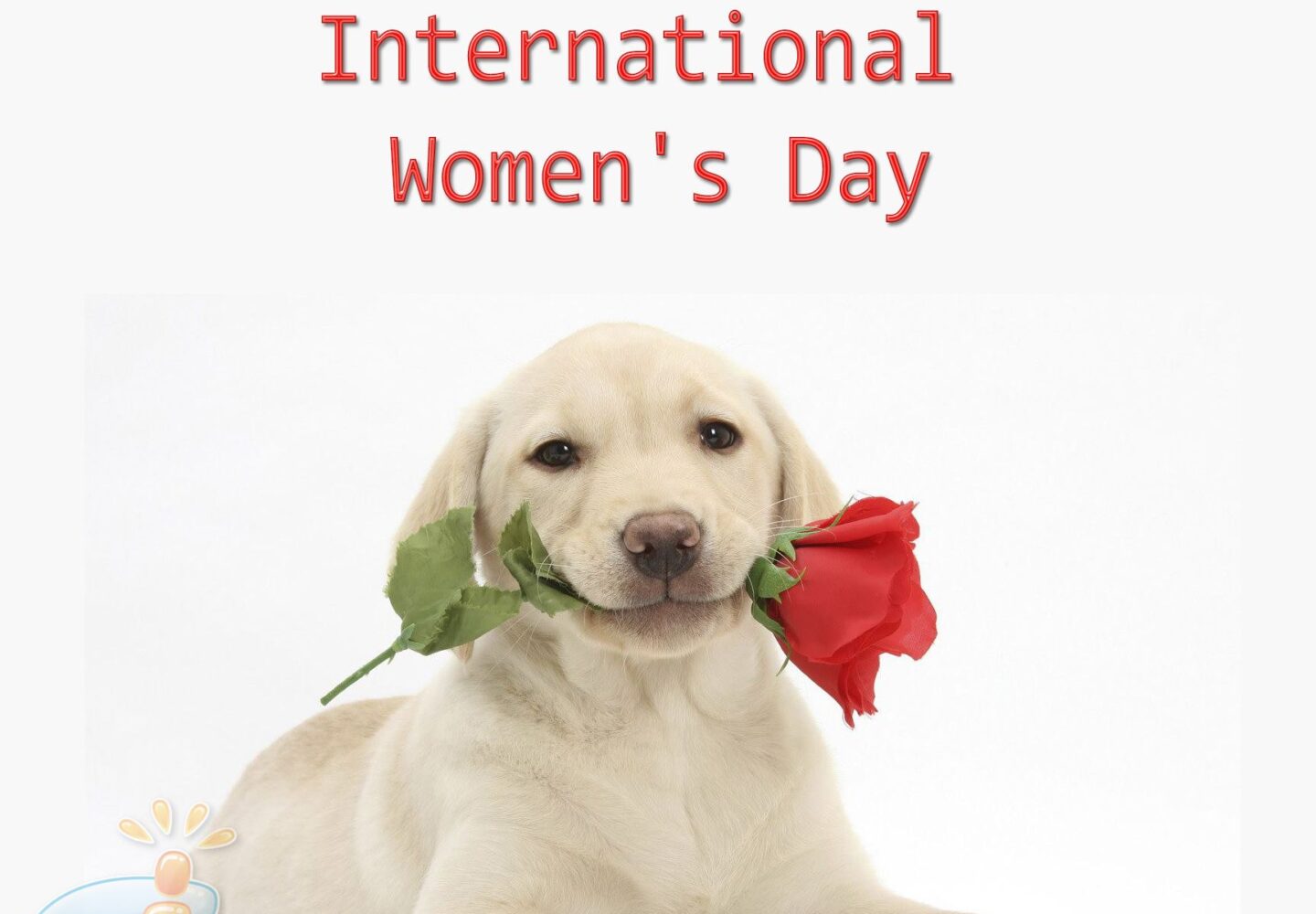 International Women's Day