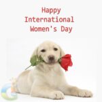 5 Eco-Friendly Methods to Celebrate International Women’s Day