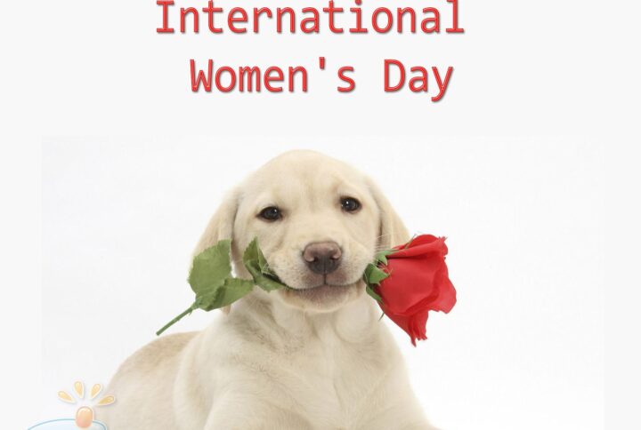 5 Eco-Friendly Methods to Celebrate International Women’s Day