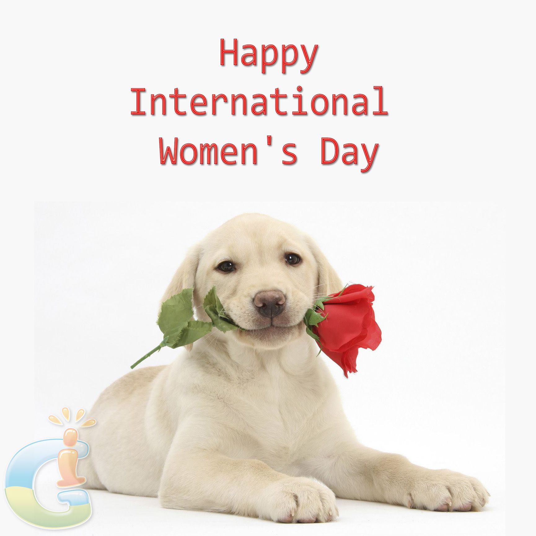 International Women's Day