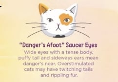 <strong>CAT EYE MEANING: READING YOUR CAT'S EYES</strong> 5 cat Cat Blogs