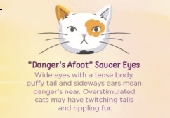 <strong>CAT EYE MEANING: READING YOUR CAT'S EYES</strong> 5 cat Cat trees