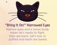 <strong>CAT EYE MEANING: READING YOUR CAT'S EYES</strong> 6 cat Cat Blogs