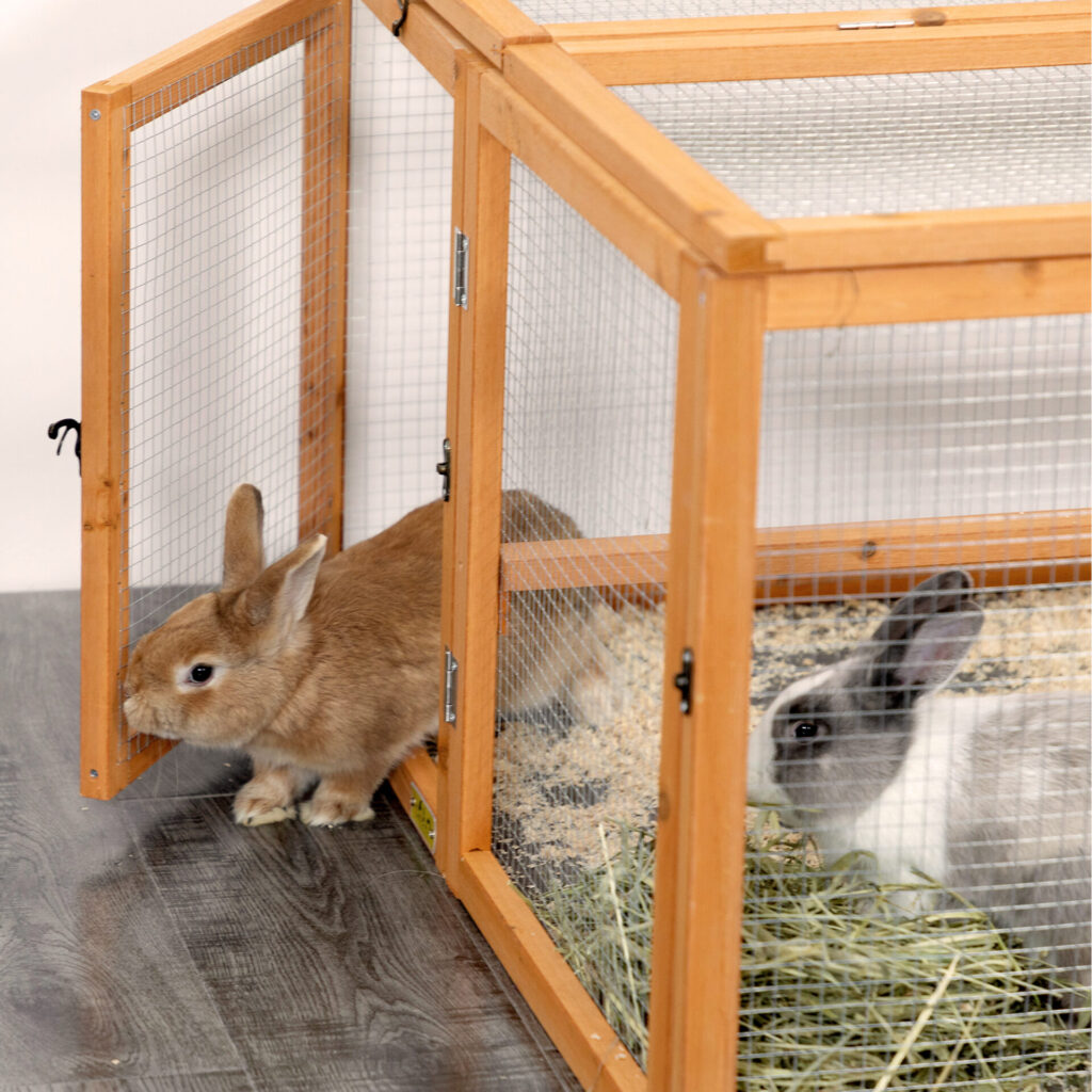 Coziwow Portable Folding Rabbit Hutch Outdoor Small Animal Coop Farm Enclosure with Openable Top, Wire-Mesh Windows, Orange CW12N0531 cj8