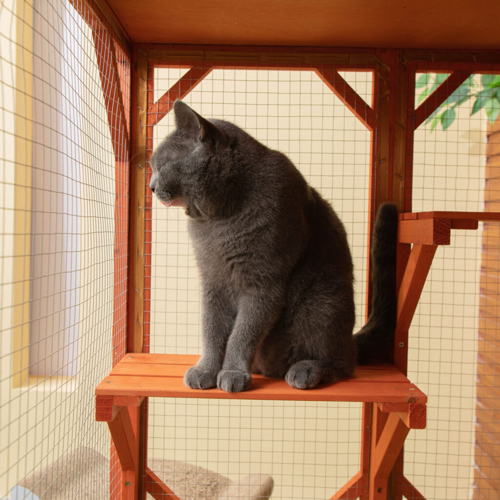 Coziwow Wooden Catio Large Outdoor Cat Enclosure with Asphalt Roof, 3 Adjustable Perches, Indoor and Outdoor, Orange CW12W0519 ztLynn Ge2000×20006