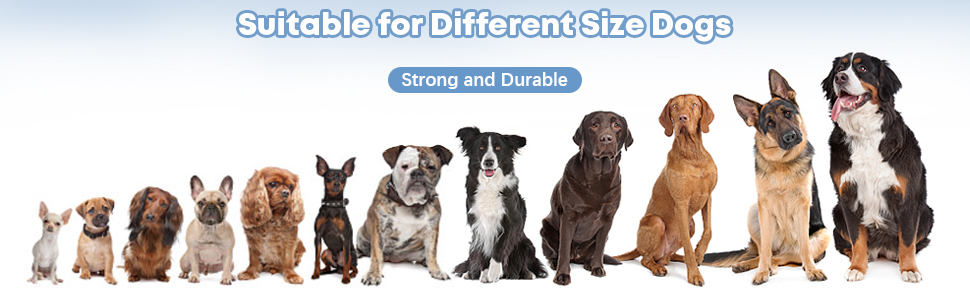 Coziwow Heavy Duty Weather-proof Large Dog Crate & Pinewood Pet House Kennel Suit, Indoor and Outdoor Use ab1cf3bf e5ef 472a a2de ef728bce73f1. CR00970300 PT0 SX970 V1