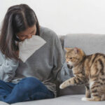 <strong>CAN YOU DEVELOP AN ALLERGY TO CATS?</strong>