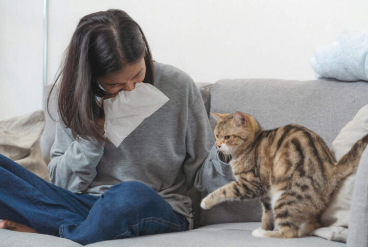 <strong>CAN YOU DEVELOP AN ALLERGY TO CATS?</strong>