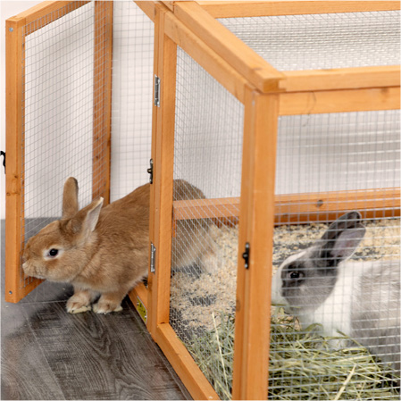 45″L Foldable Wood Rabbit Hutch Chicken Coop, Outdoor/Indoor, for 2-4 Pets, Orange 图文1 Chicken Supplies