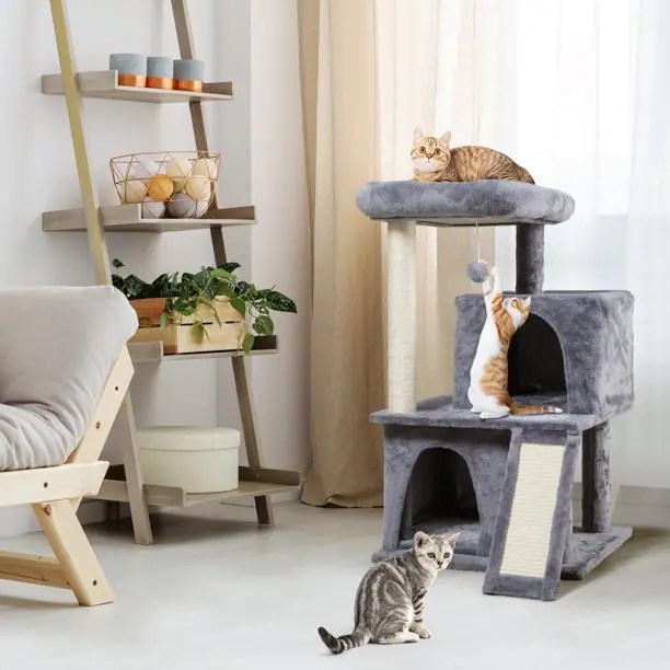 cat trees