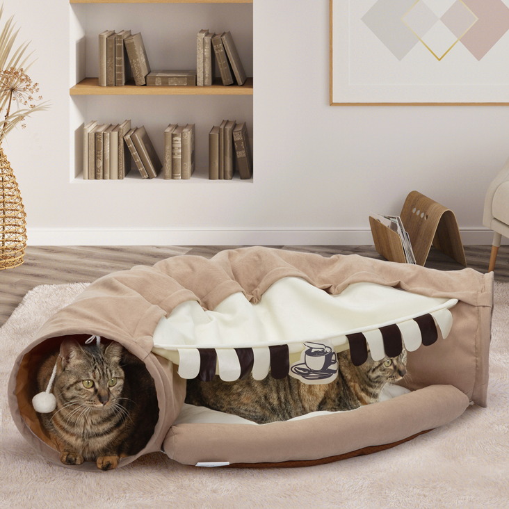 CAT 1 6