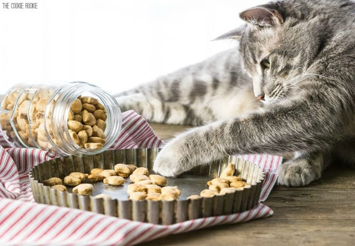 Fish Shaped Cat Treats