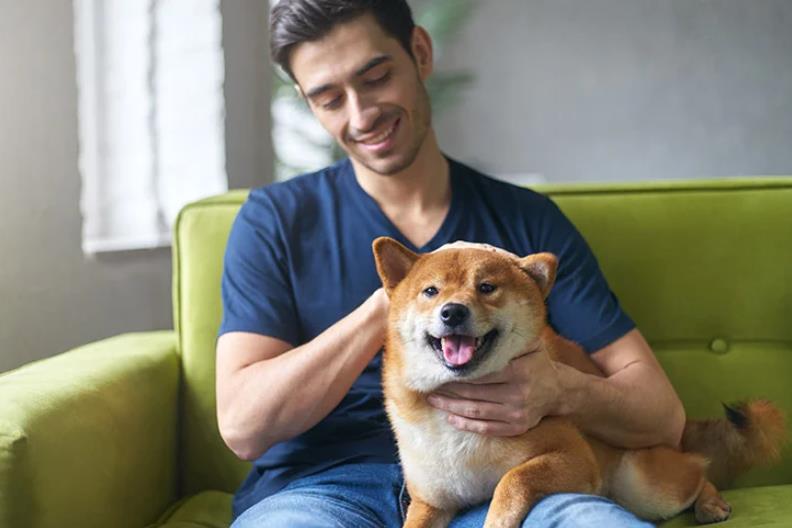 How to build a positive relationship with your dog 65eyt dog wellness