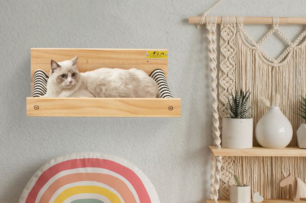 CAT 7 2