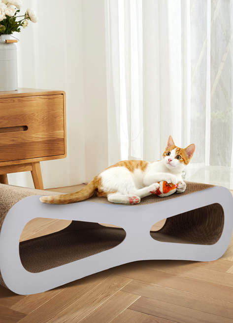 Cat 9 1