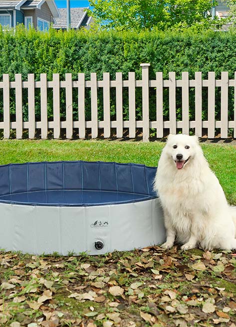 DOG 9