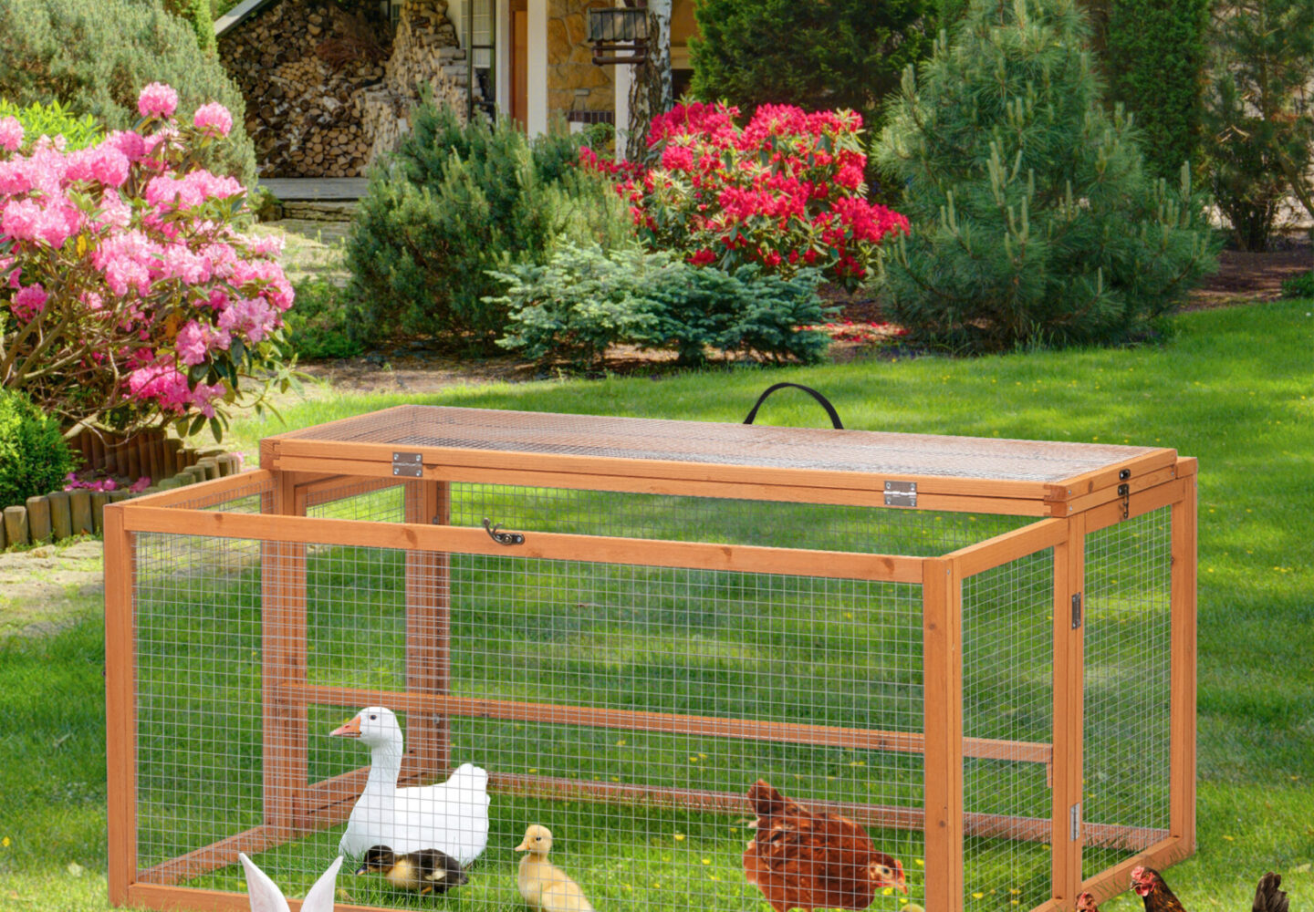 rabbit hutch